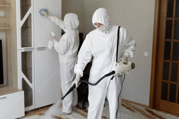 Best Mold Damage Restoration  in Henrietta, TX